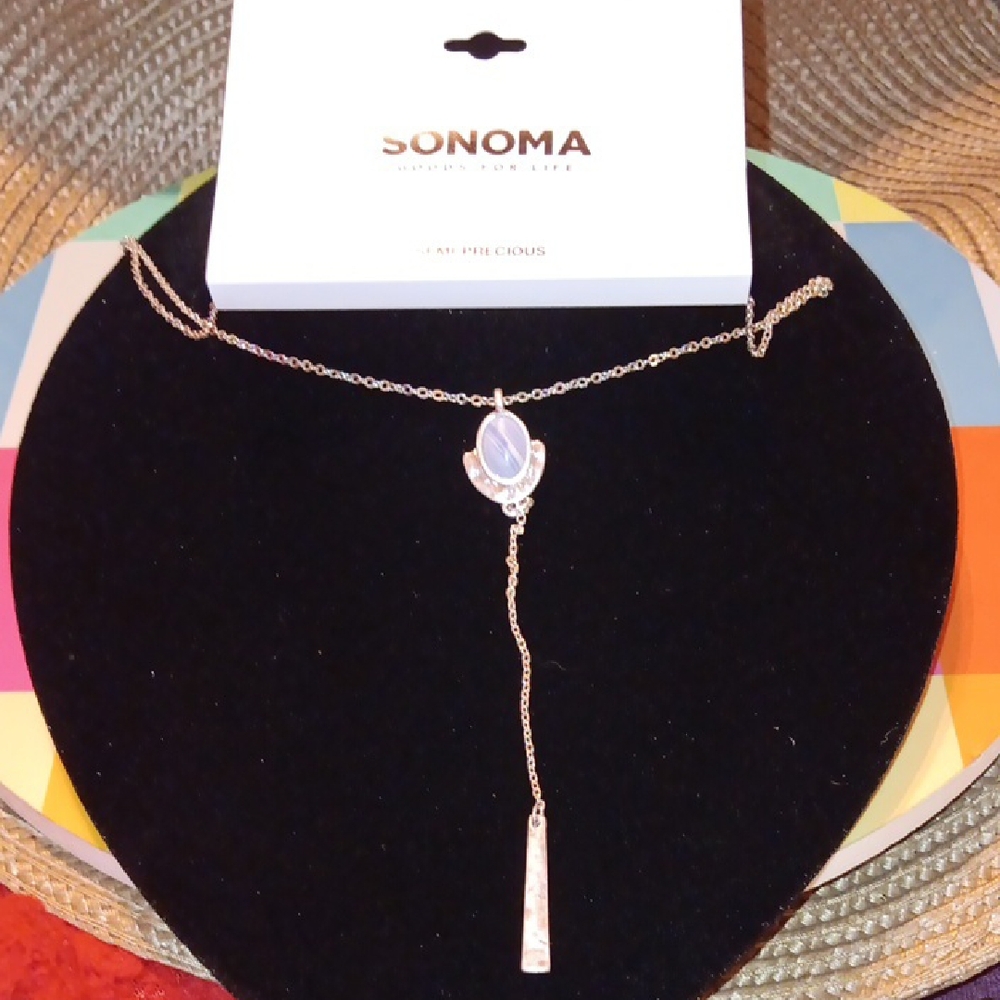 Sonoma Silver Necklace with Iridescent Blue Accent  (C)
